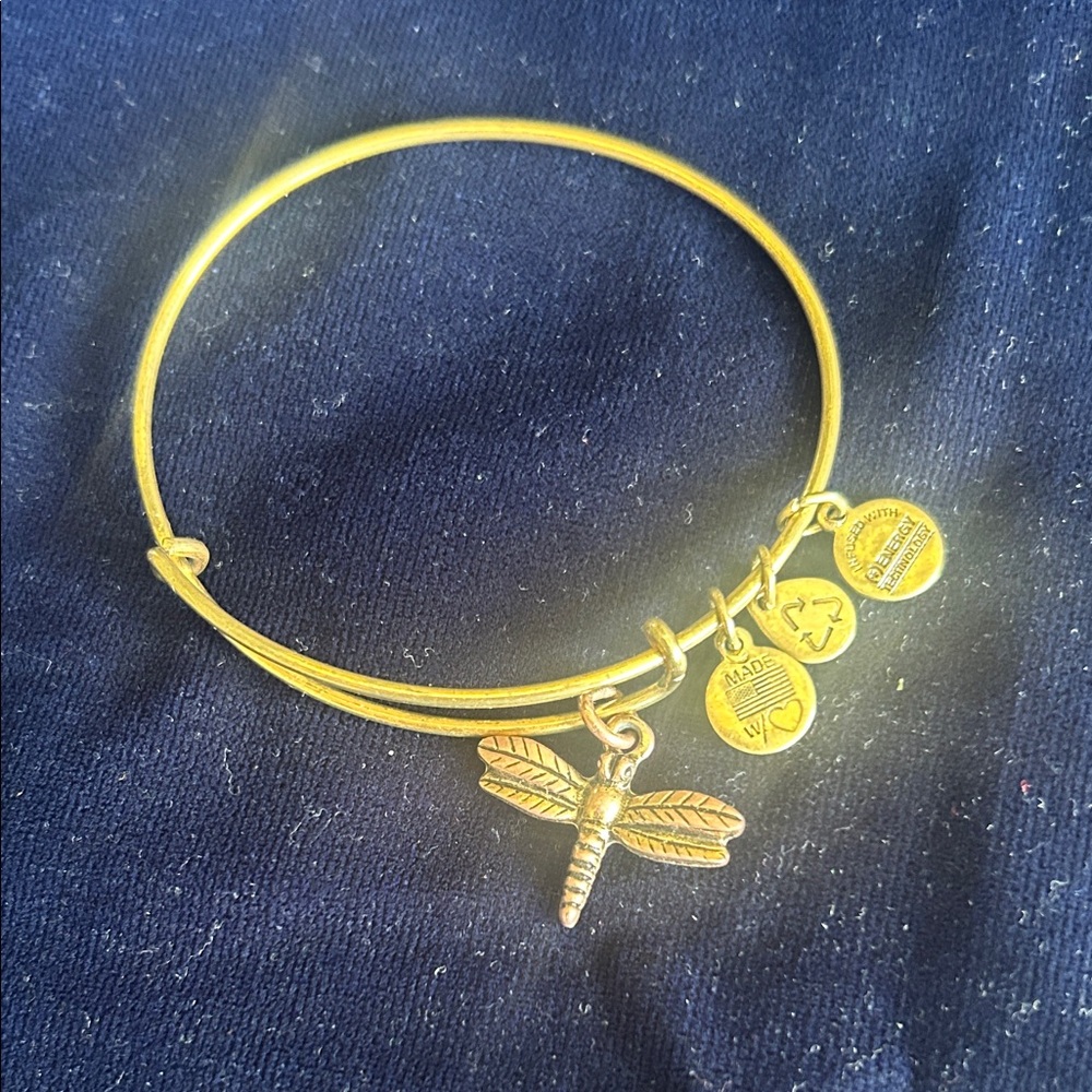 Alex and Ani Gold Dragonfly Charm Bracelet